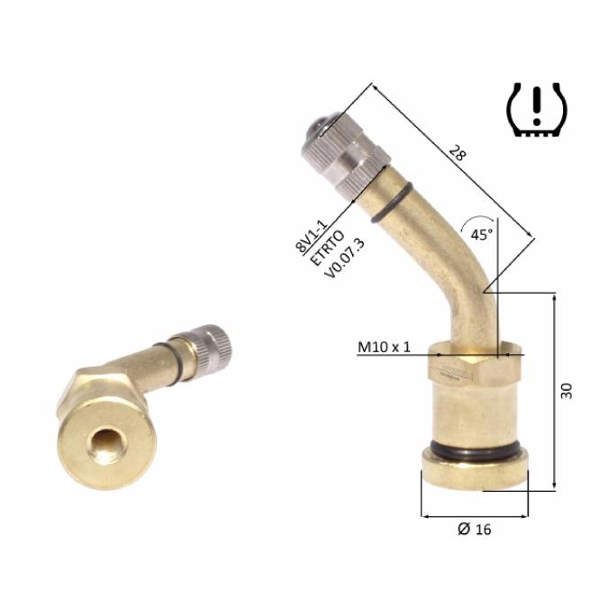 Truck Valve RDKS, 10 piece