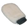 Wash and Polishing Glove