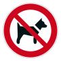 Verbotsschild "Mitführen von Hunden verboten"